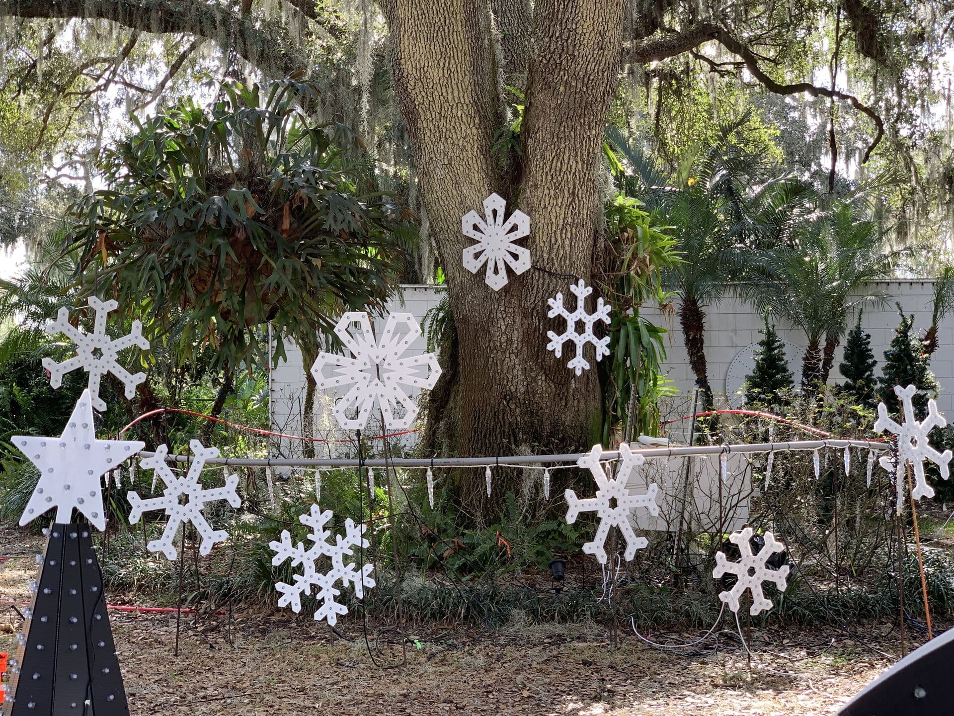 Christmas Lights Detail View