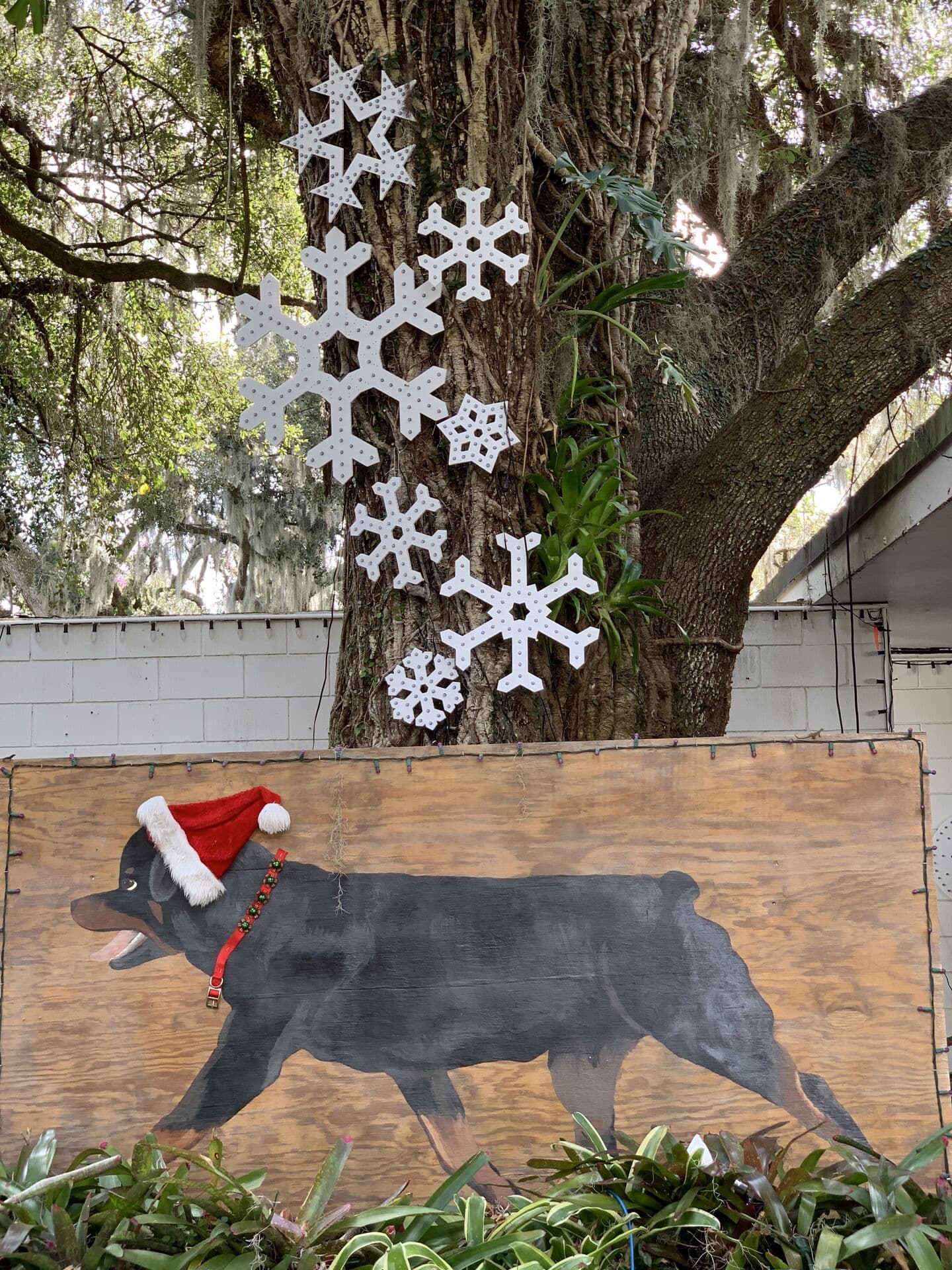 Christmas Tree Lane Perspective