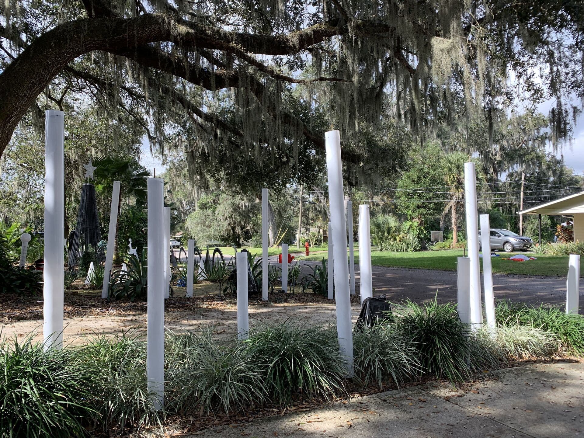 Synchronized Christmas Lights