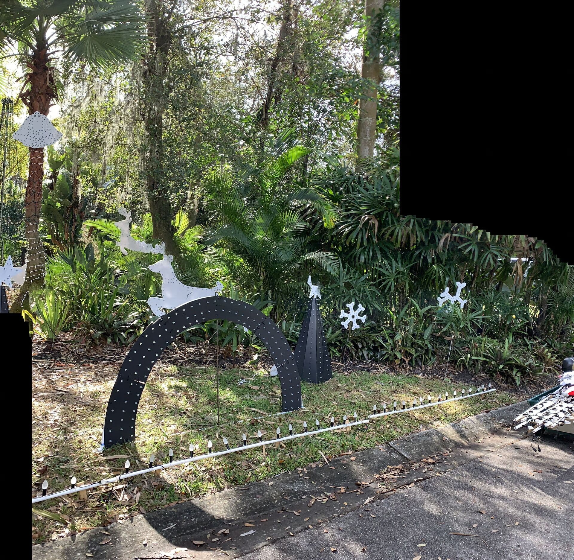 Holiday Light Artistry