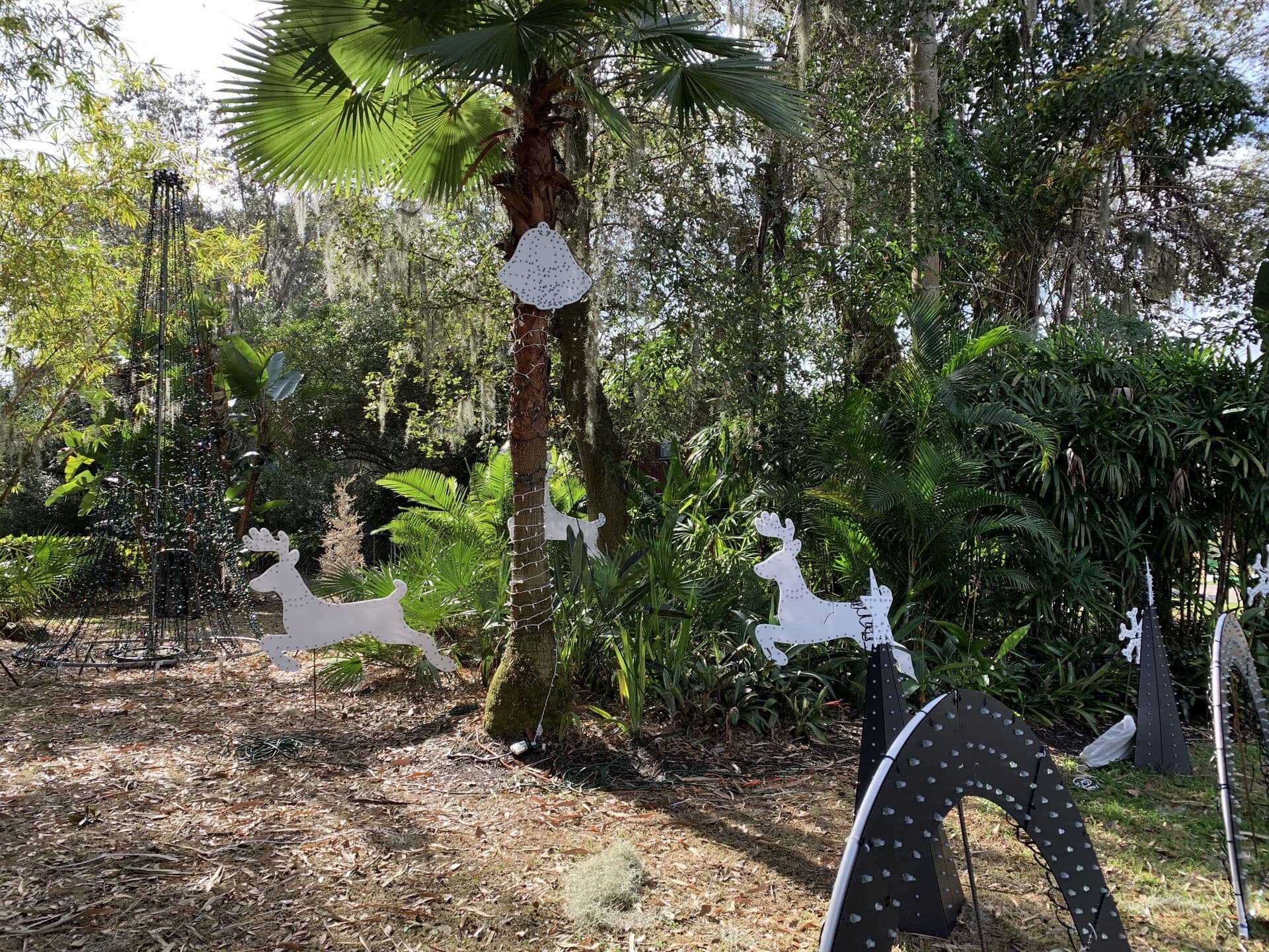 Christmas Display Details