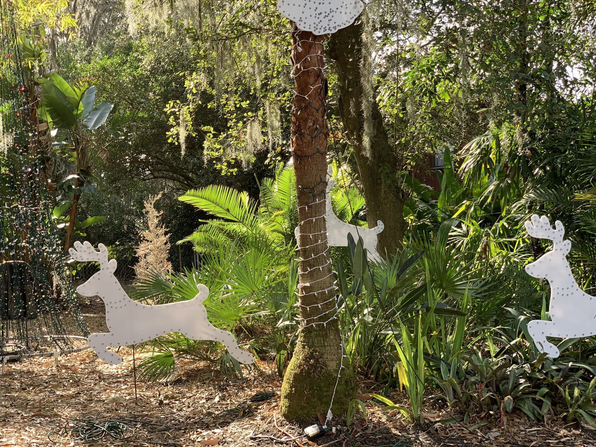 Tesla's Light House Full Display