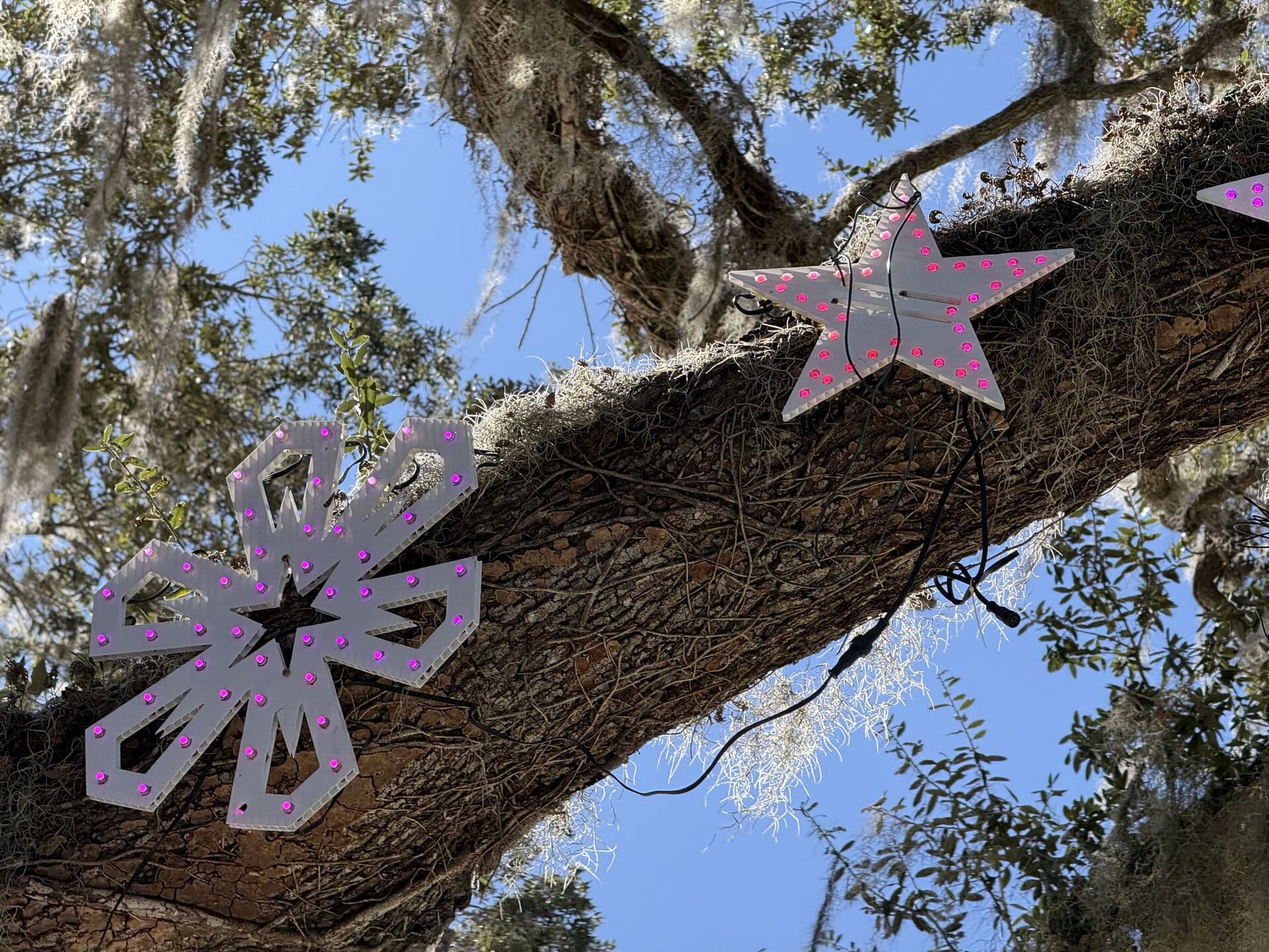 Christmas Light Synchronization Show