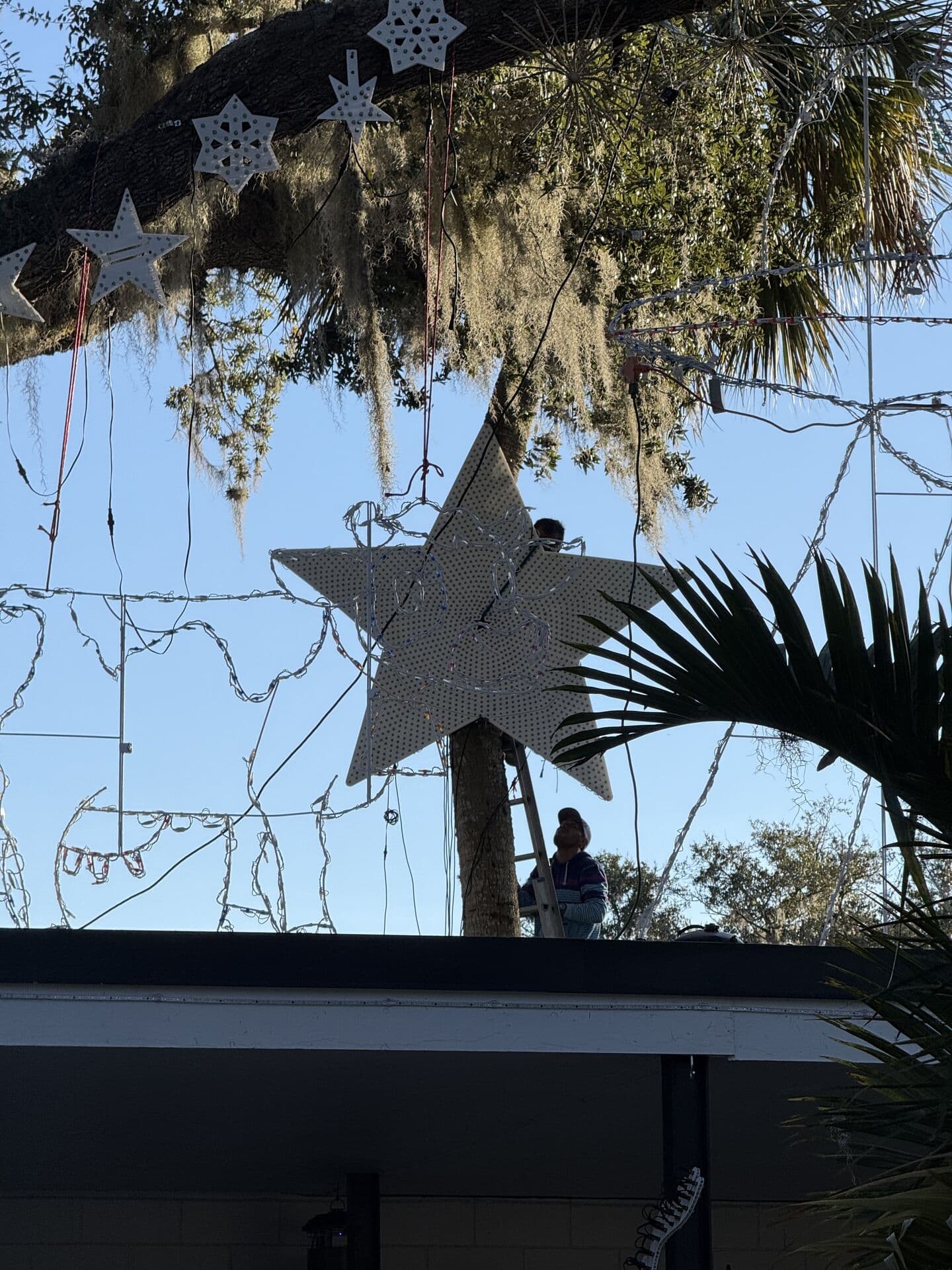 Holiday Display Mastery