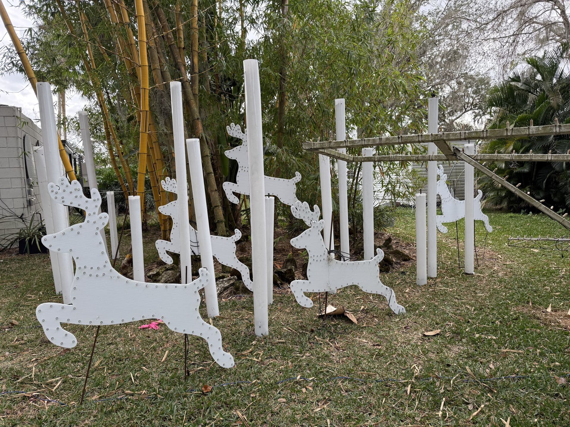 Christmas Light Excellence