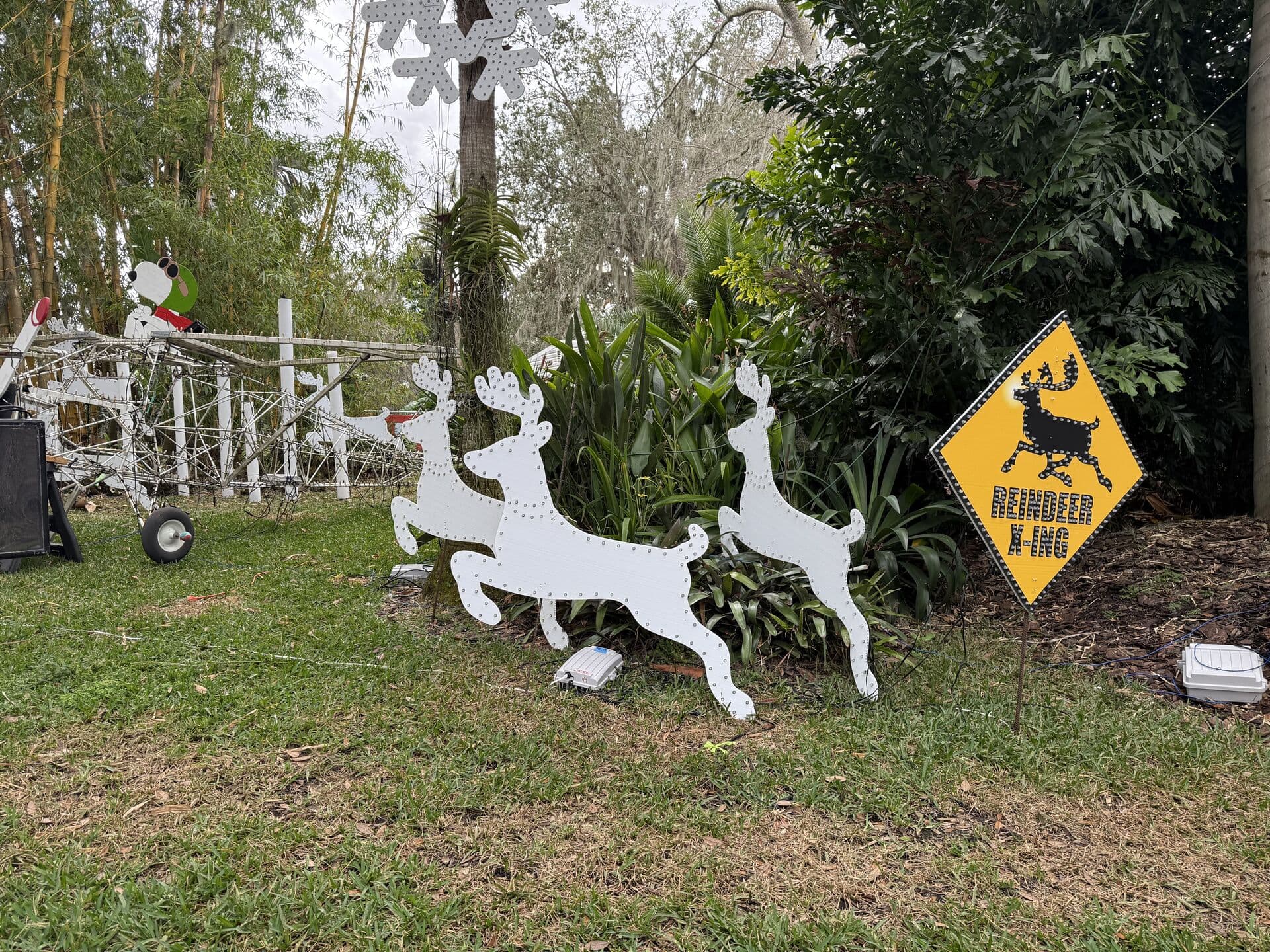 Holiday Light Coordination