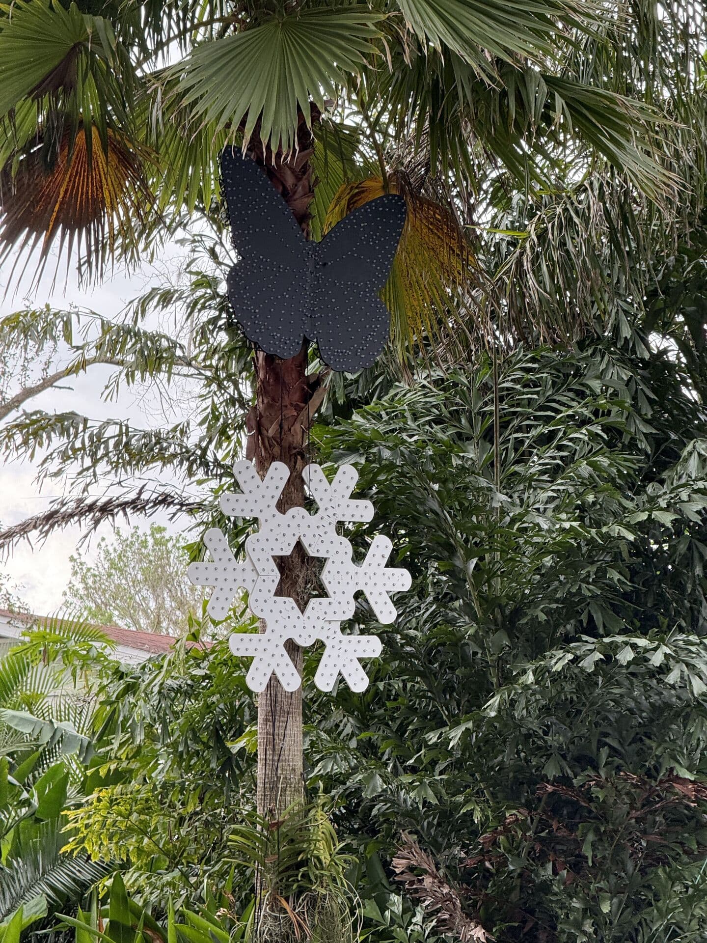 Christmas Light Precision