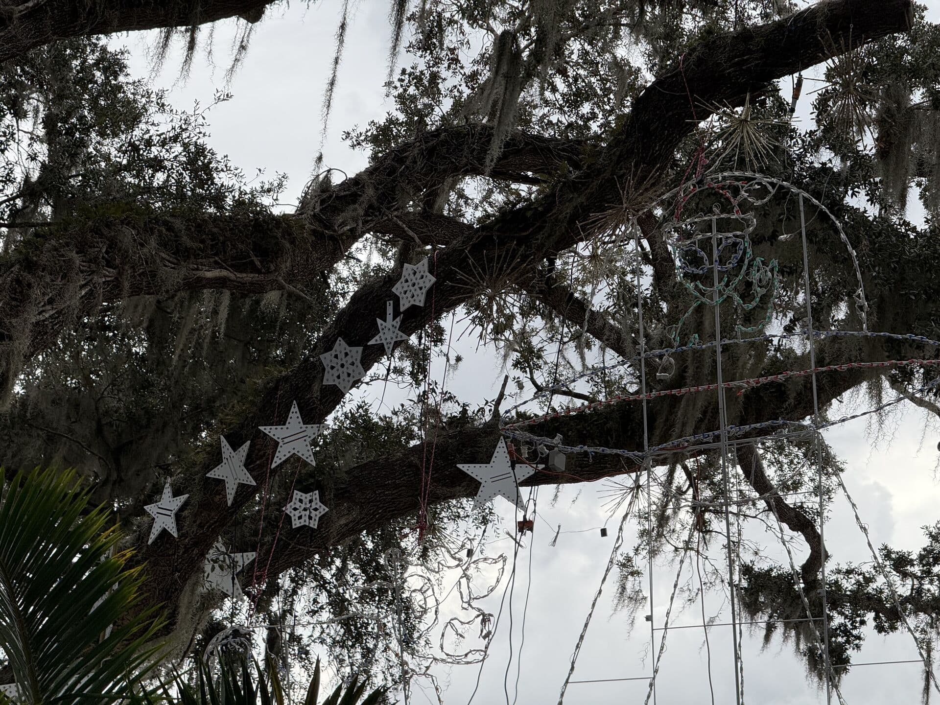 Holiday Display Legacy