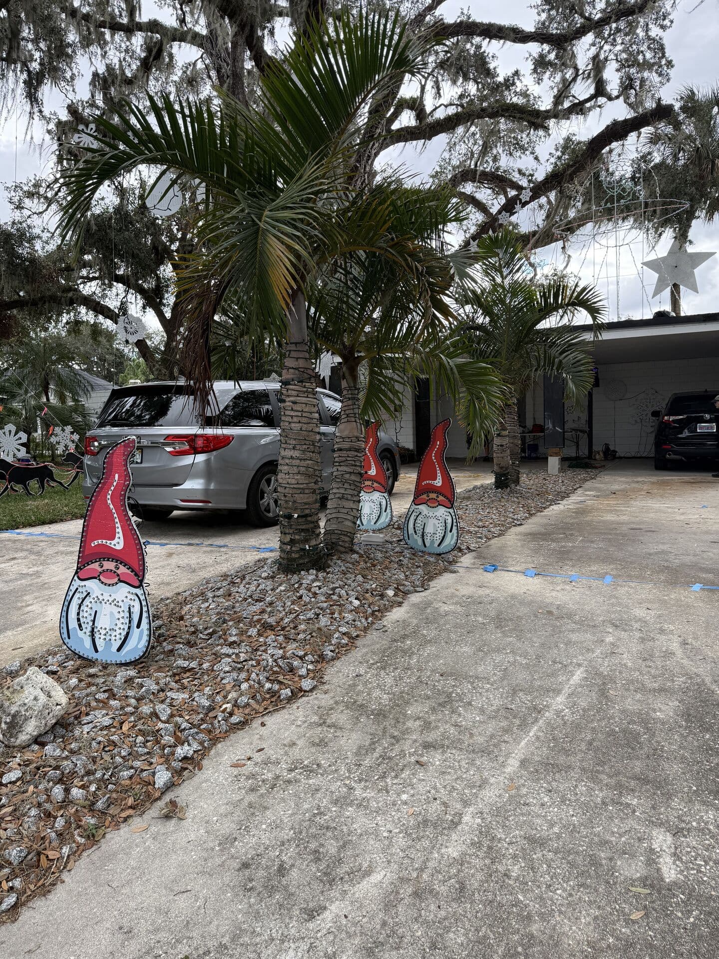 Christmas Light Celebration