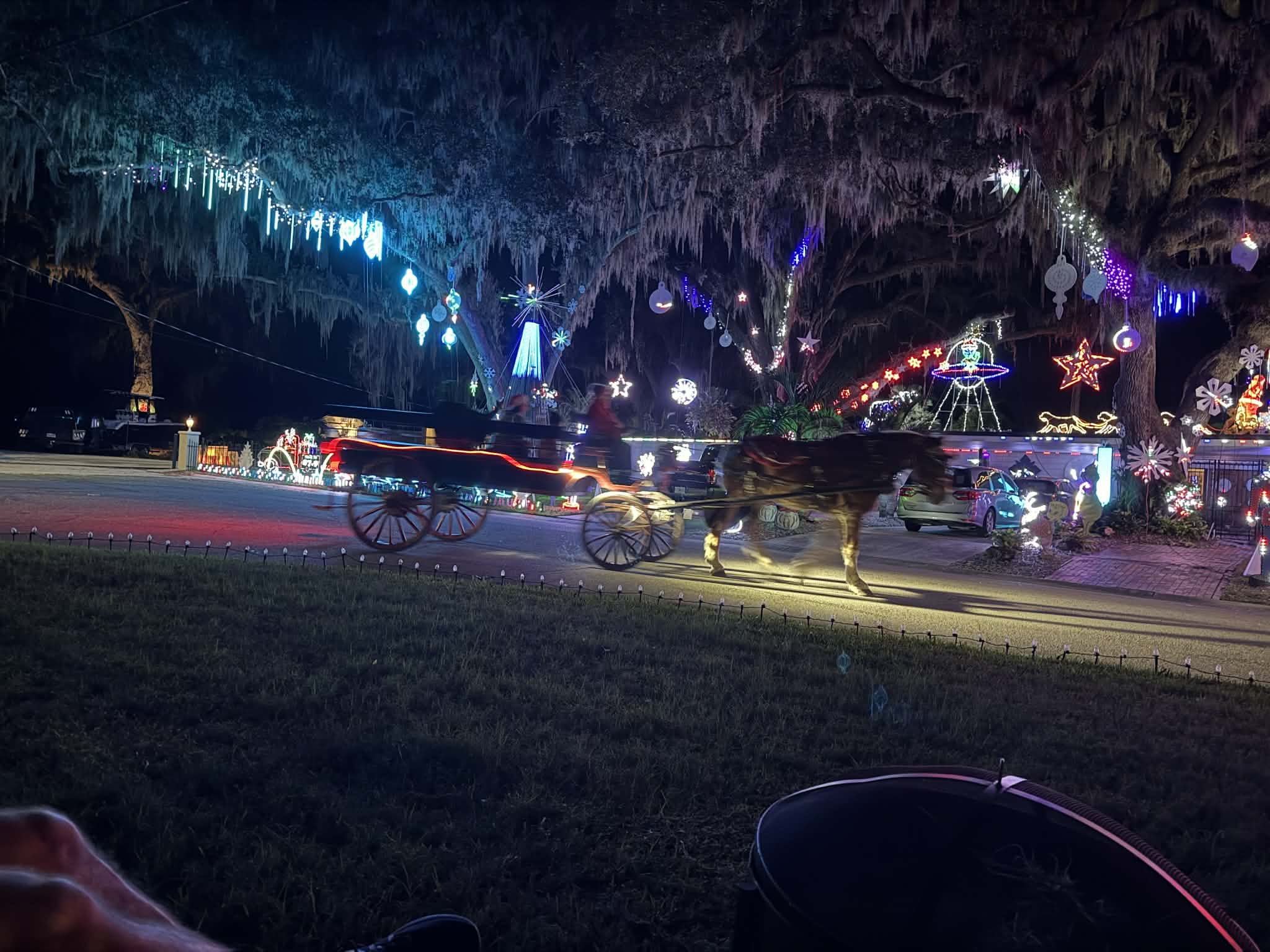 Horse-Drawn Carriage on Christmas Tree Lane at Night